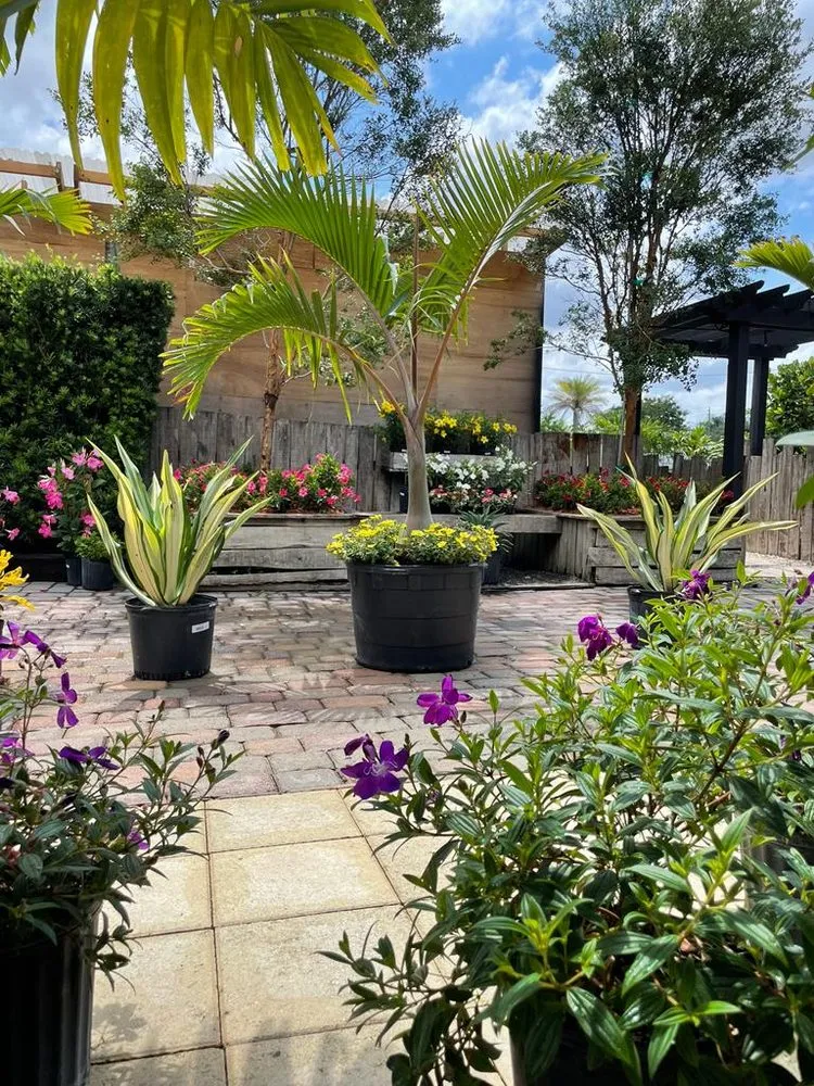 Professional lawn mowing service with custom design across Miami, FL - Green Wholesale Center