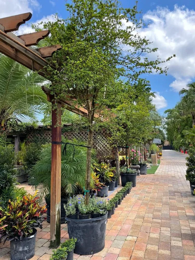 Reliable lawn care service with custom design across Miami, FL - Green Wholesale Center