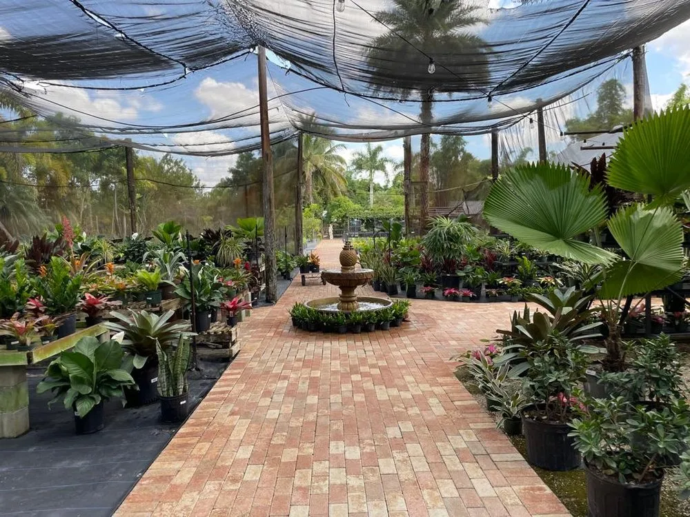 Trusted lawn mowing service in Miami, FL - Green Wholesale Center