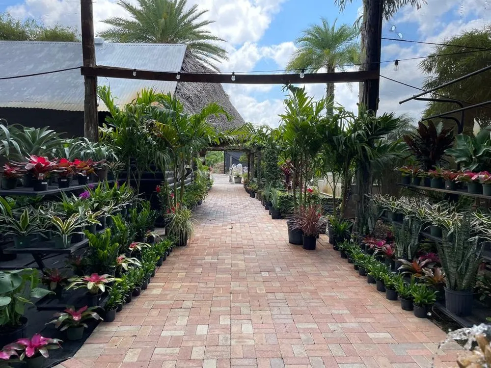 Top-rated outdoor landscaping for homes in Miami, FL by Green Wholesale Center
