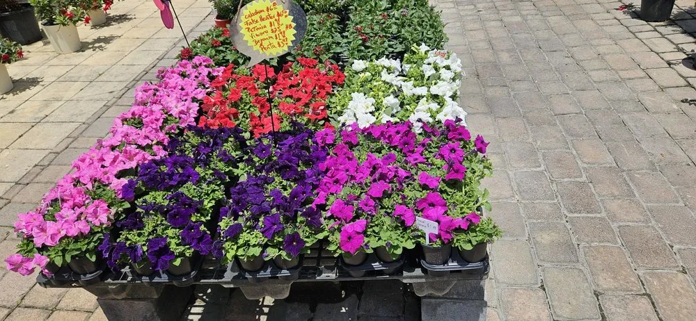 Trusted garden landscaping in Miami, FL by Green Wholesale Center