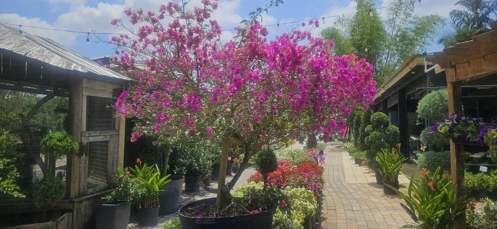 Custom garden landscaping in Miami, FL by Green Wholesale Center