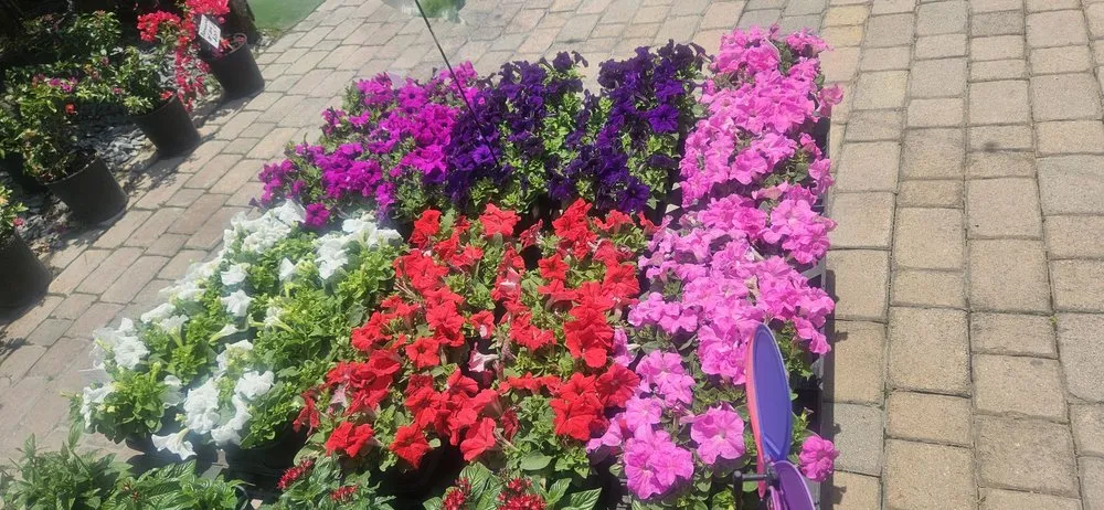 Reliable landscape installation in Miami, FL - Green Wholesale Center