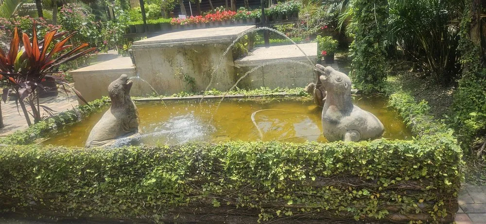 Trusted yard cleanup service experts serving Miami, FL - Green Wholesale Center