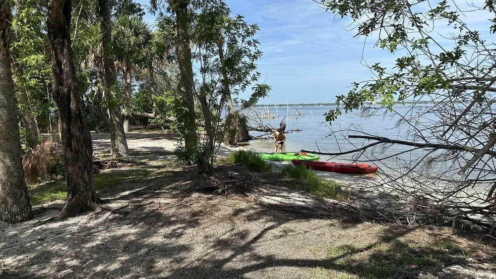 Expert garden landscaping in Merritt Island, FL - Green Wing Lawn & Pest Services