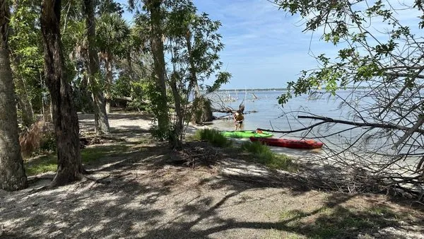 Green Wing Lawn & Pest Services Logo