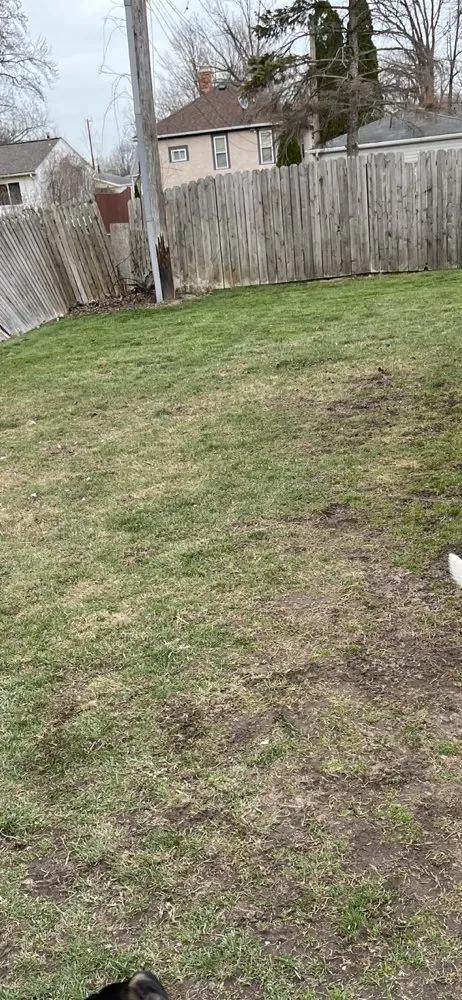 Affordable landscape design in Roseville, MI by Green Wing Lawn Care