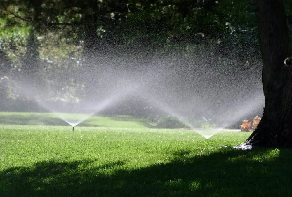 Reliable yard maintenance in Omaha, NE by Green Wings Lawn and Landscape