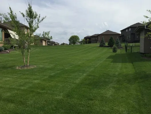 Green Wings Lawn and Landscape Logo