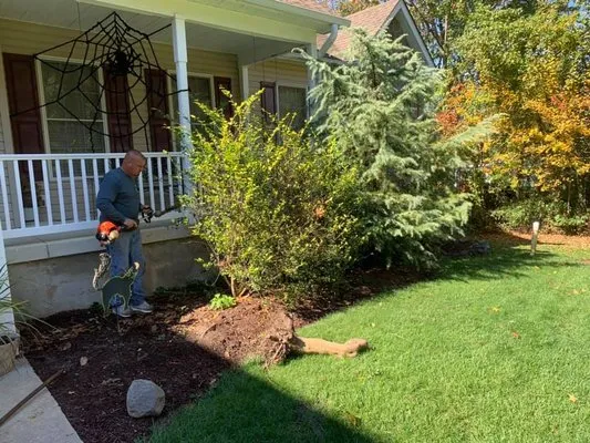 Green With Envy Landscape and Design Logo