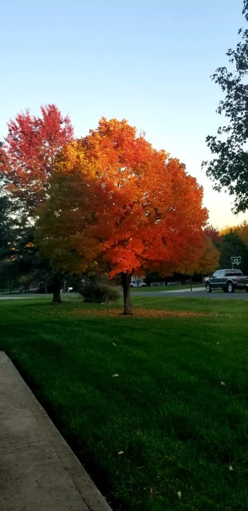 Trusted lawn mowing service for beautiful yards across De Soto, KS - Green With Envy Landscaping