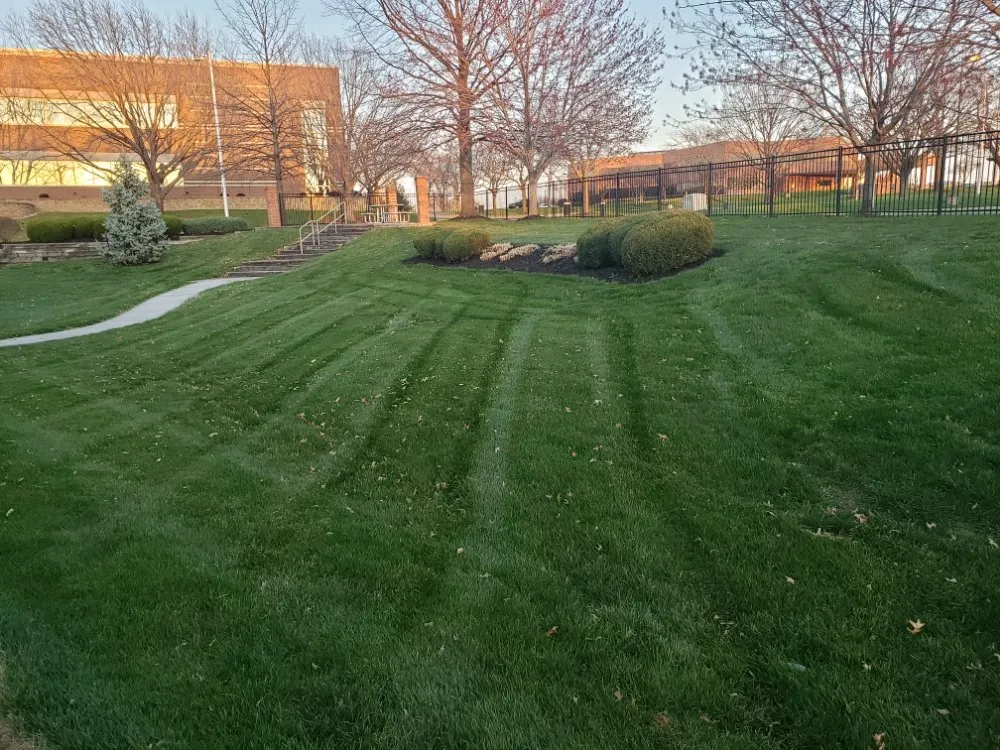 Top-rated landscaping services for outdoor upgrades across De Soto, KS - Green With Envy Landscaping