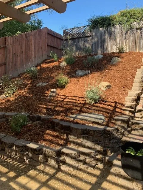 Professional landscape design experts serving Paso Robles, CA - Green With Envy Landscaping