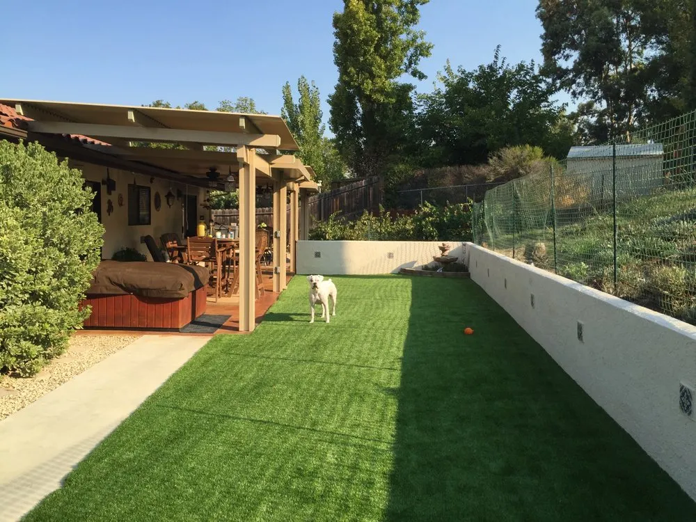 Local yard cleanup service in Paso Robles, CA - Green With Envy Landscaping