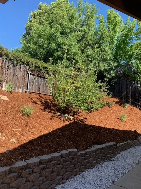 Top-rated outdoor landscaping experts serving Paso Robles, CA - Green With Envy Landscaping