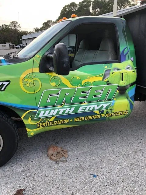 Professional landscape installation for outdoor upgrades in New Port Richey, FL by Green With Envy