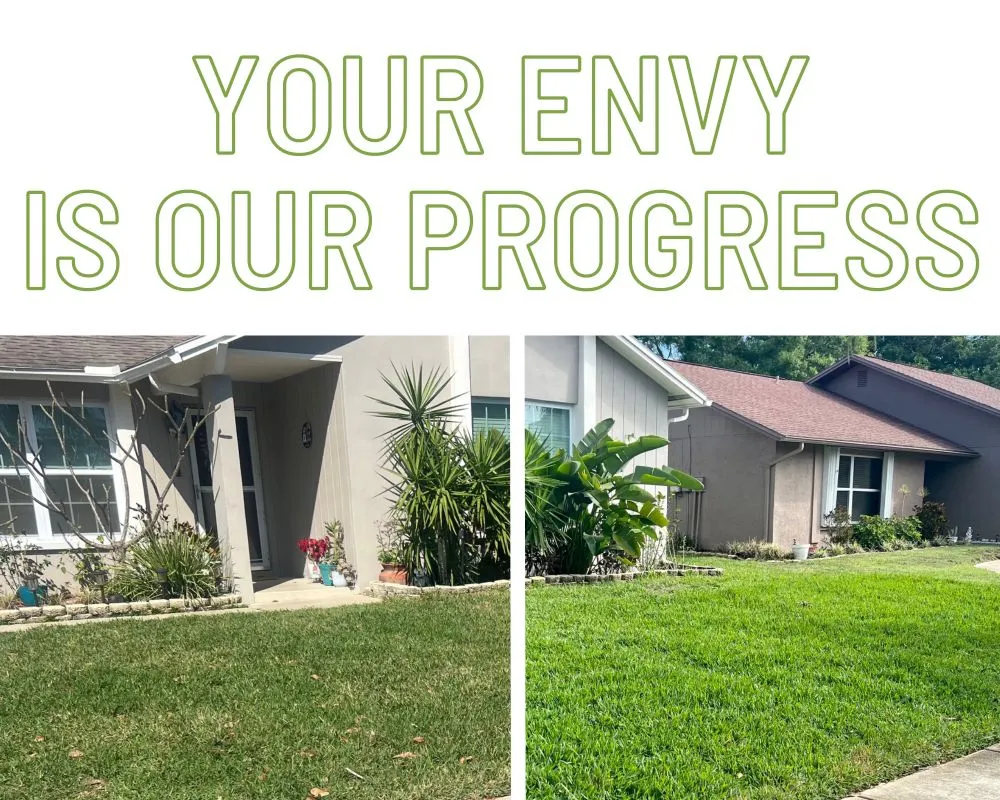 Affordable yard maintenance experts serving New Port Richey, FL - Green With Envy