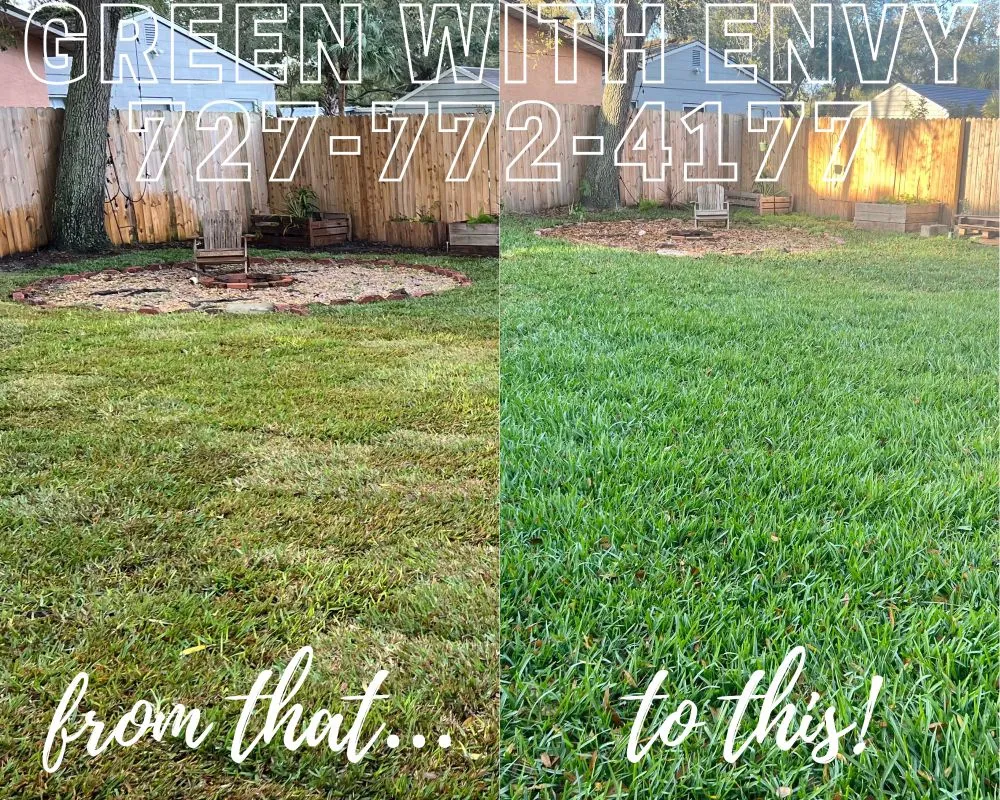 Affordable landscape installation for beautiful yards across New Port Richey, FL - Green With Envy
