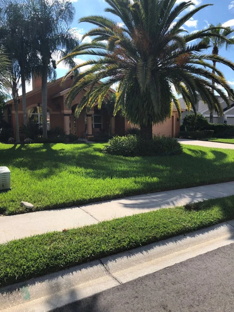 Reliable lawn care service for residential properties across New Port Richey, FL - Green With Envy