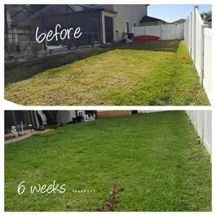 Trusted garden landscaping for beautiful yards across New Port Richey, FL - Green With Envy