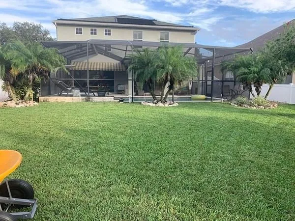 Expert yard maintenance in New Port Richey, FL by Green With Envy