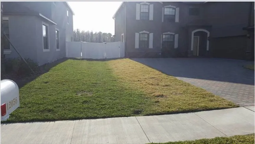 Top-rated outdoor landscaping in New Port Richey, FL - Green With Envy