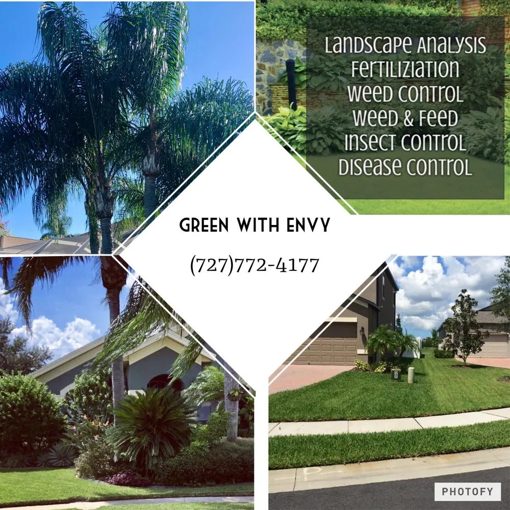 Professional landscape installation near you across New Port Richey, FL - Green With Envy