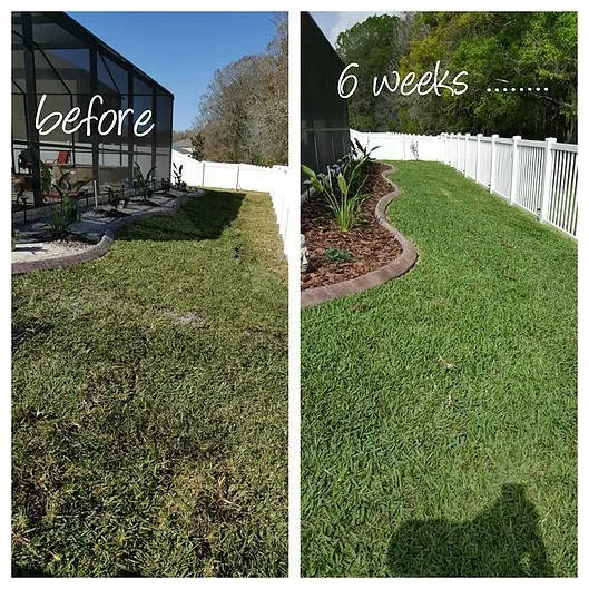 Local landscape installation for residential properties in New Port Richey, FL by Green With Envy
