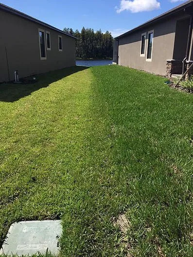 Professional outdoor landscaping for homes across New Port Richey, FL - Green With Envy