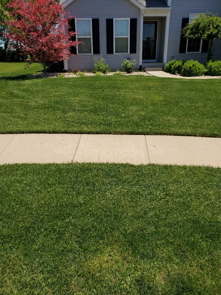 Expert outdoor landscaping near you in South Bend, IN by Green With Envy