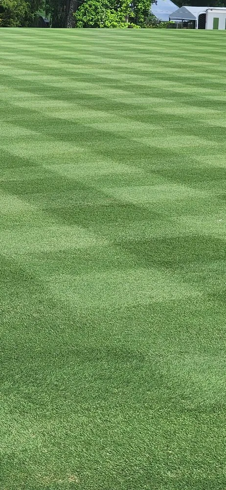 Custom landscape installation experts serving Greensboro, NC - Green With Envy Turf