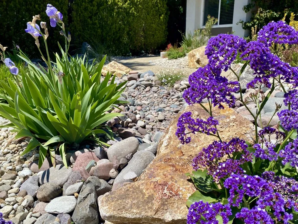 Top-rated lawn care service experts serving Canoga Park, CA - Green Wonders Landscaping