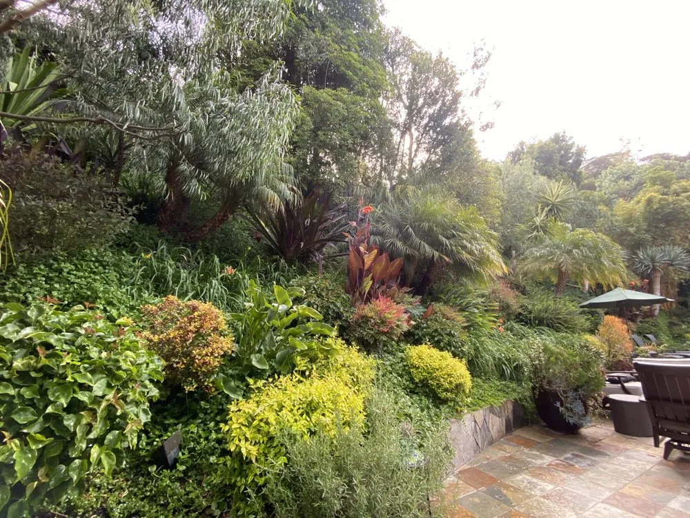 Professional outdoor landscaping near you in Canoga Park, CA by Green Wonders Landscaping