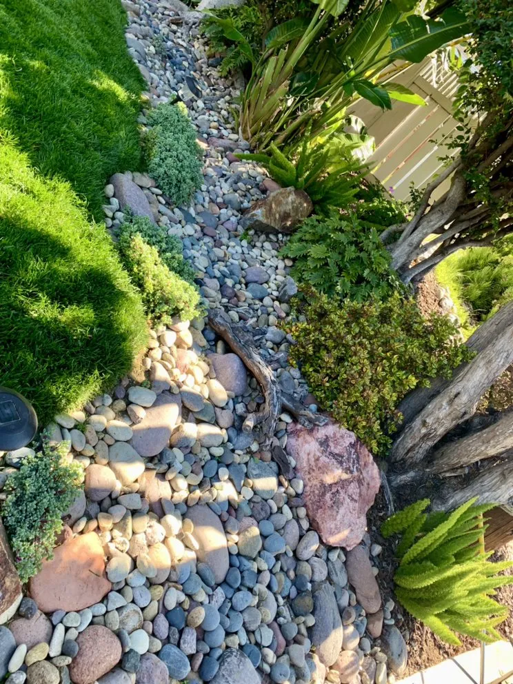 Professional landscaping services for year-round maintenance in Canoga Park, CA by Green Wonders Landscaping