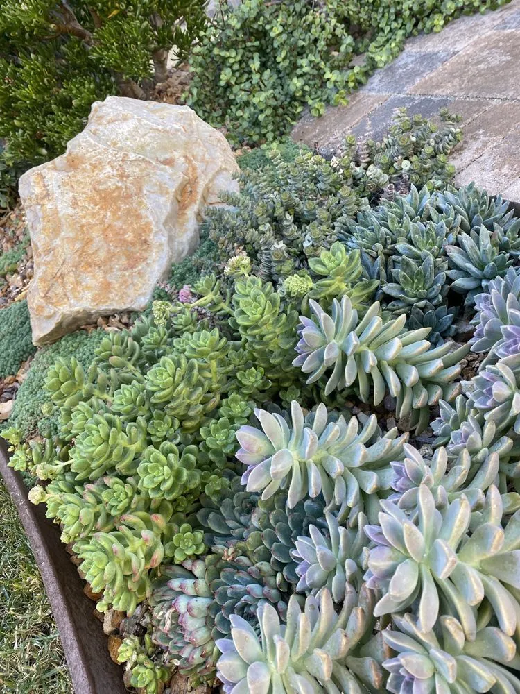 Reliable yard maintenance for outdoor upgrades across Canoga Park, CA - Green Wonders Landscaping