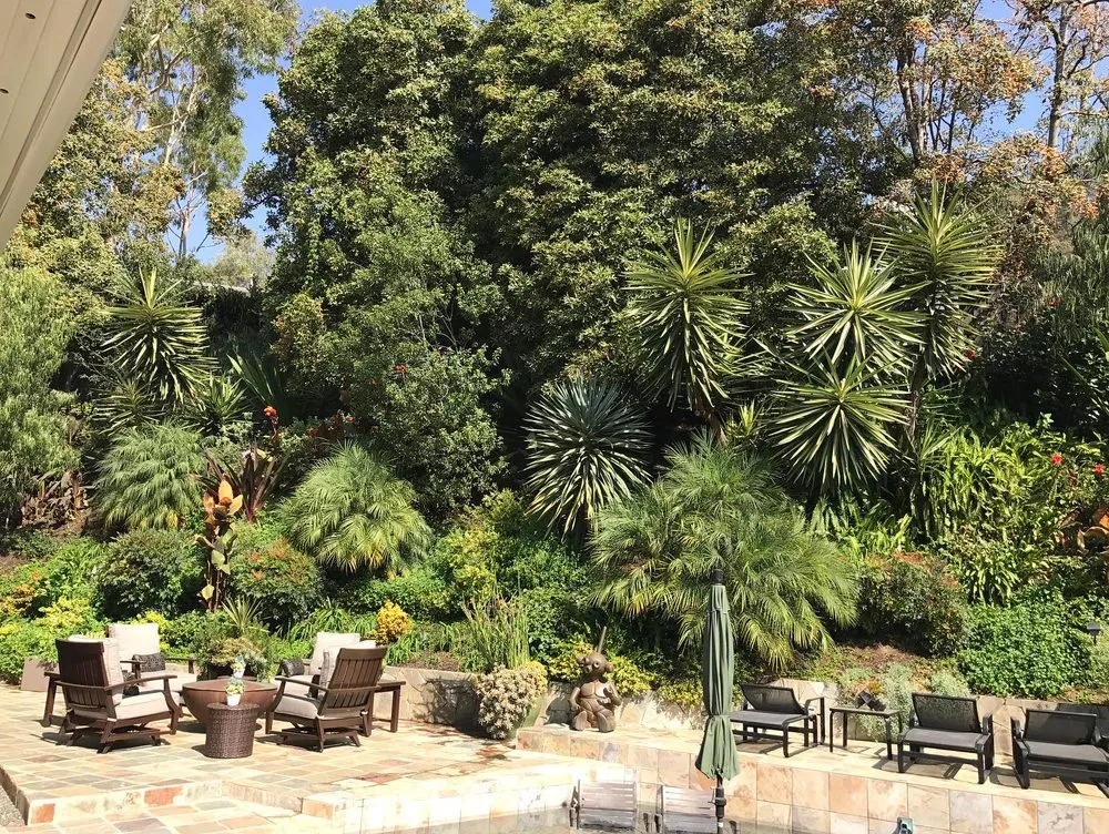 Trusted lawn mowing service in Canoga Park, CA - Green Wonders Landscaping