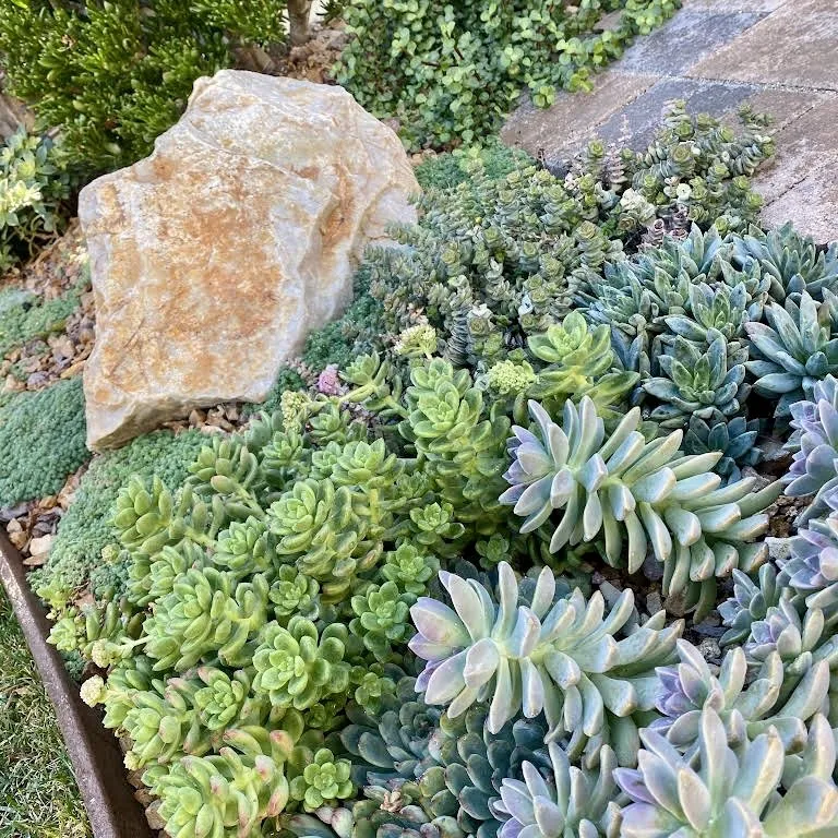 Local residential landscaping for residential properties across Canoga Park, CA - Green Wonders Landscaping