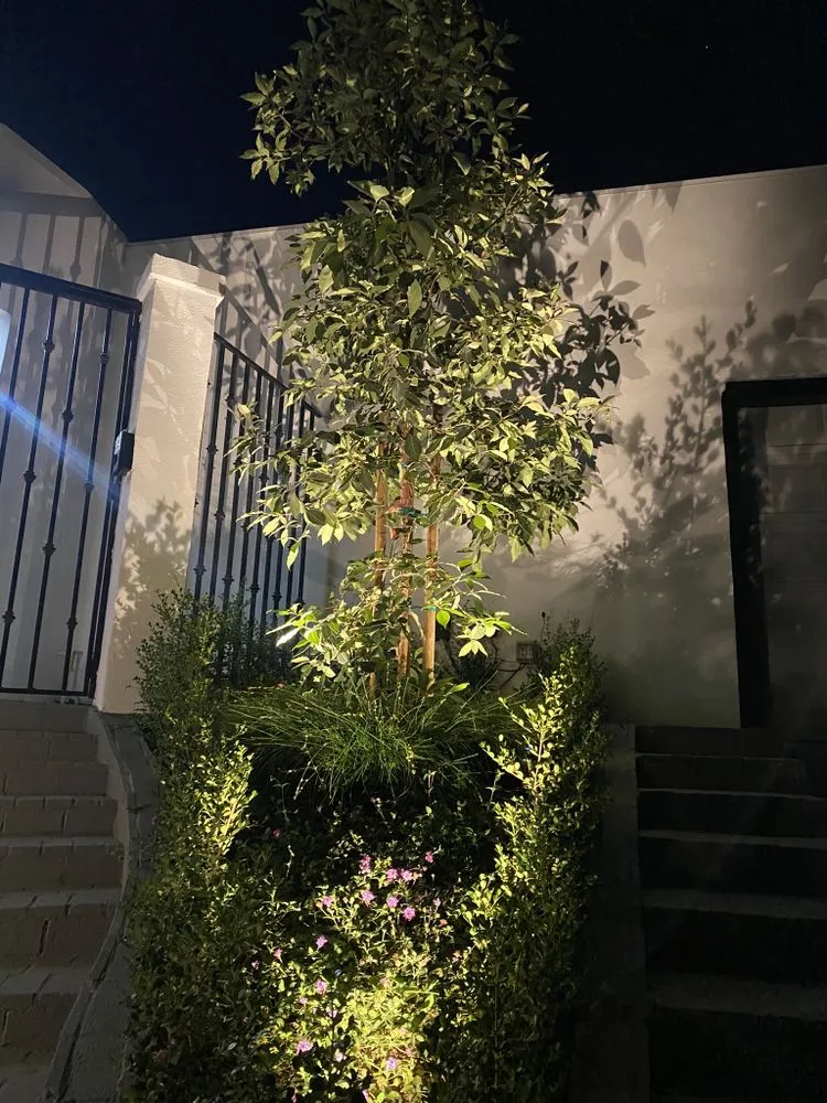 Professional residential landscaping for outdoor upgrades across Canoga Park, CA - Green Wonders Landscaping