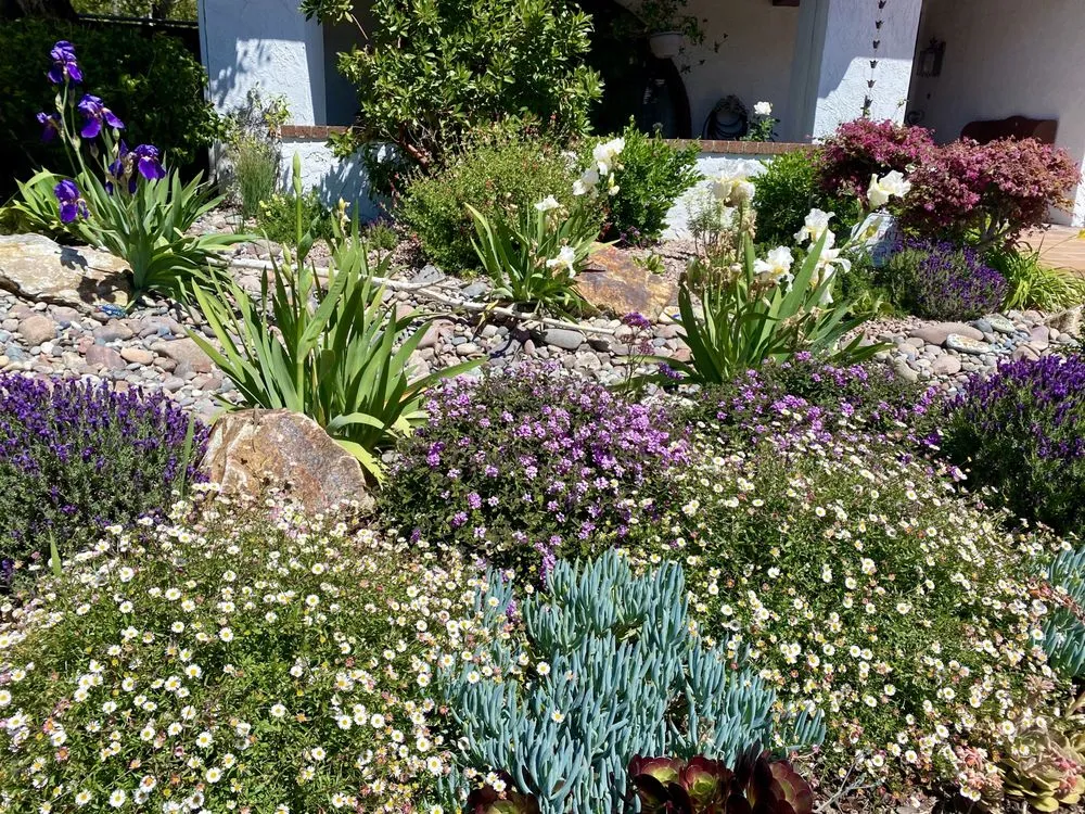 Top-rated landscaping services in Canoga Park, CA by Green Wonders Landscaping