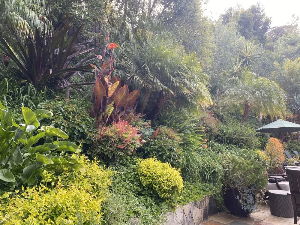 Trusted residential landscaping for residential properties in Canoga Park, CA by Green Wonders Landscaping