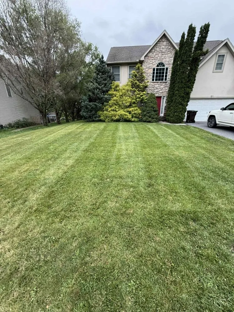 Local yard cleanup service for homes across Shoemakersville, PA - Green Wonders Landscaping