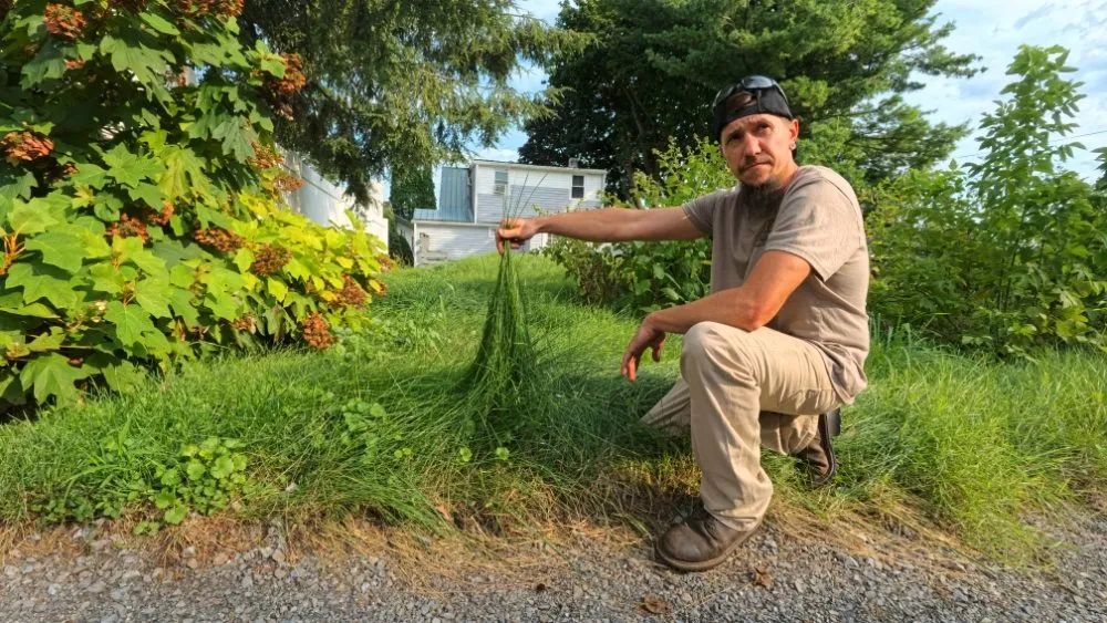 Trusted lawn care service near you across Shoemakersville, PA - Green Wonders Landscaping