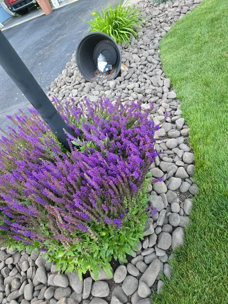 Professional lawn care service for residential properties across Shoemakersville, PA - Green Wonders Landscaping