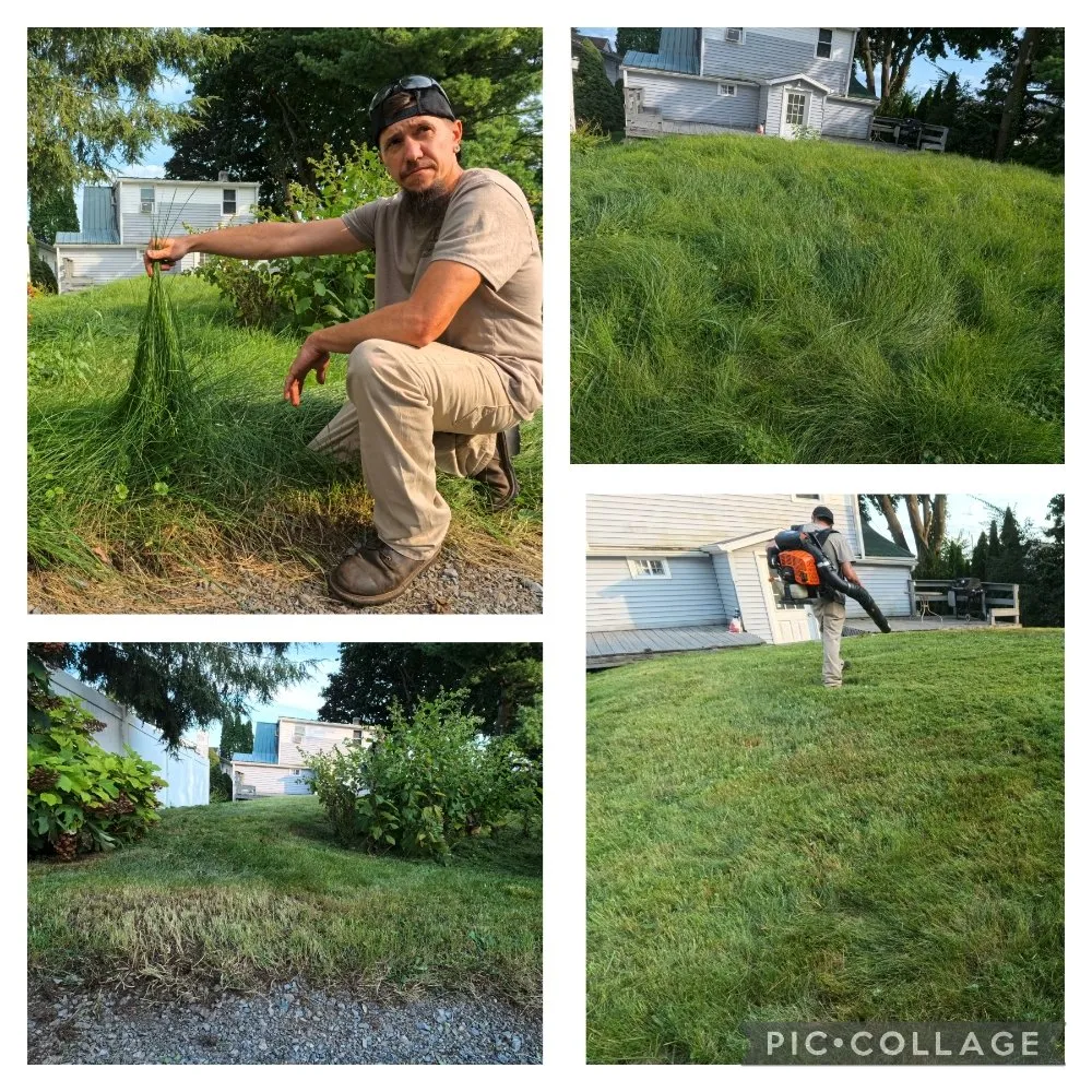 Local yard cleanup service experts serving Shoemakersville, PA - Green Wonders Landscaping