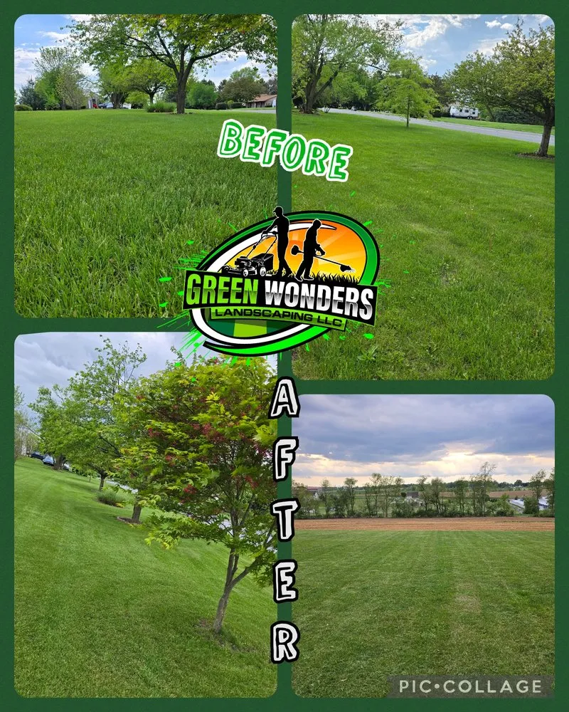 Affordable lawn care service experts serving Shoemakersville, PA - Green Wonders Landscaping
