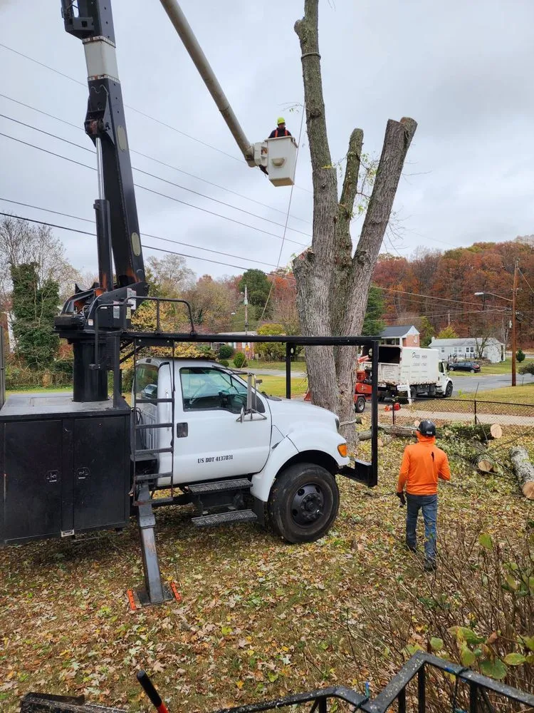 Custom landscape design in Riverdale, MD by Green Woods Sawmill & Tree Service