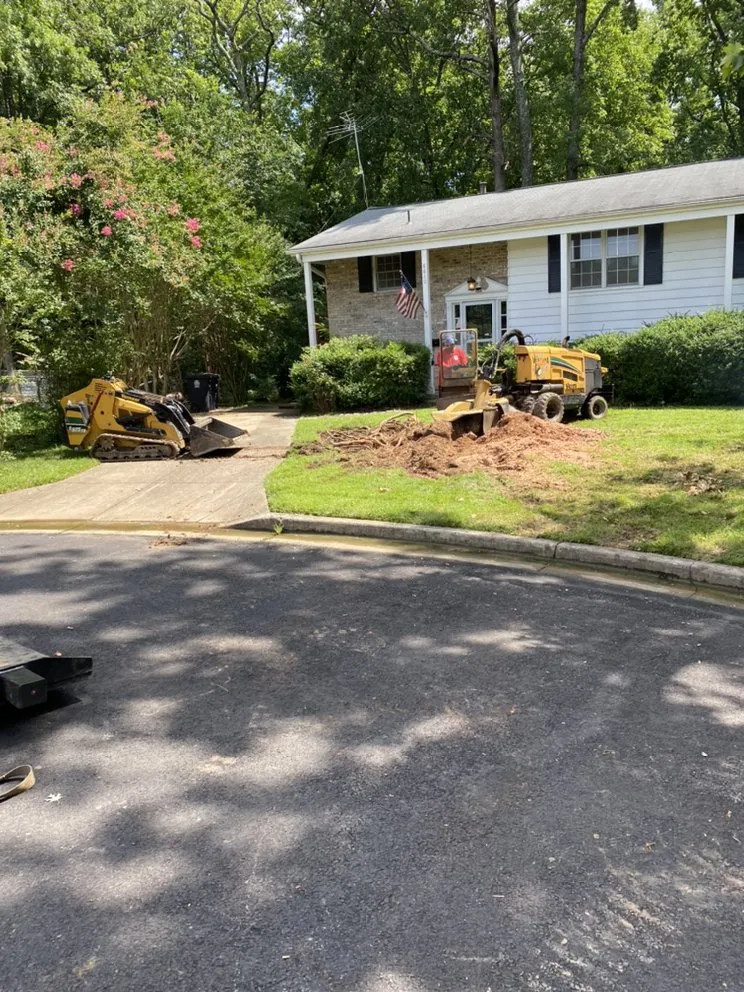 Custom landscape installation in Riverdale, MD - Green Woods Sawmill & Tree Service