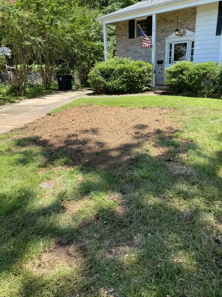 Custom outdoor landscaping experts serving Riverdale, MD - Green Woods Sawmill & Tree Service