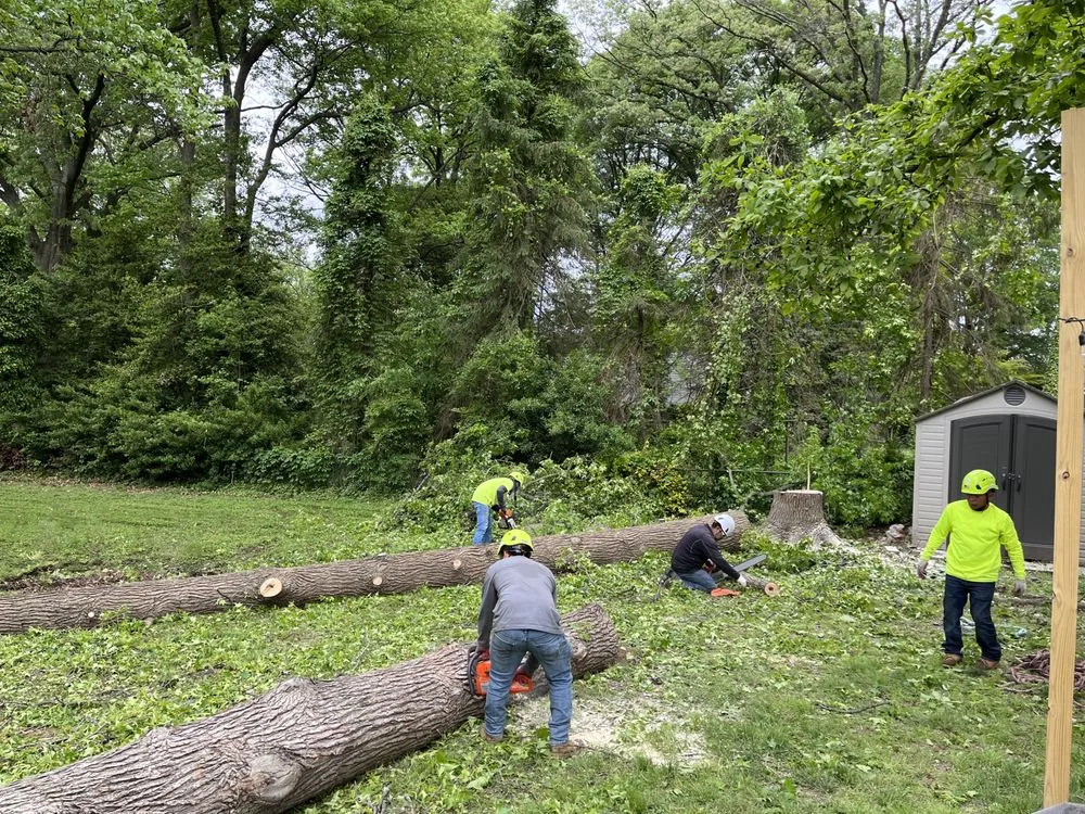 Reliable landscaping services experts serving Riverdale, MD - Green Woods Sawmill & Tree Service