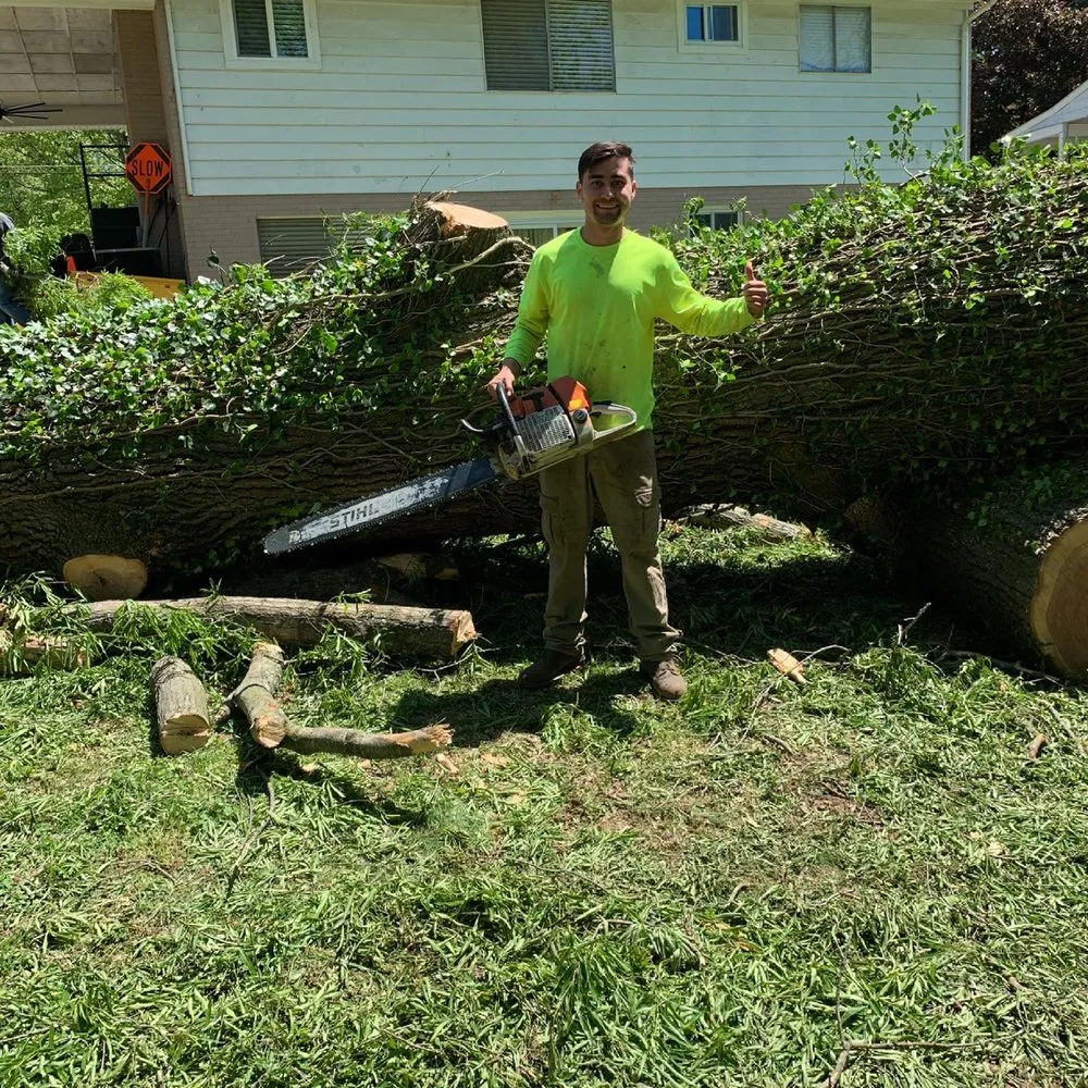 Custom outdoor landscaping in Riverdale, MD by Green Woods Sawmill & Tree Service
